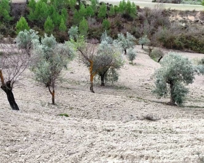 Image No.5-Property for sale