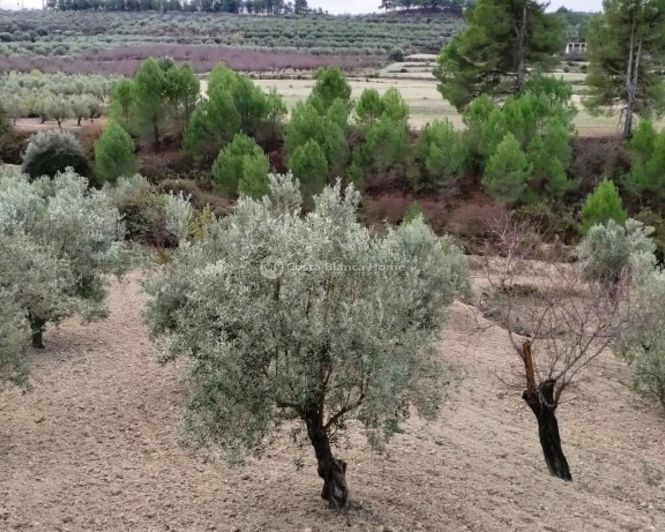 Image No.6-Property for sale