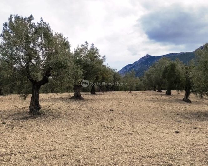 Image No.7-Property for sale