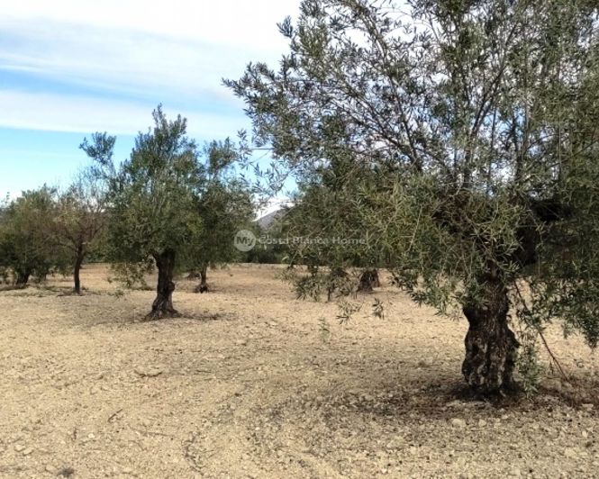 Image No.8-Property for sale