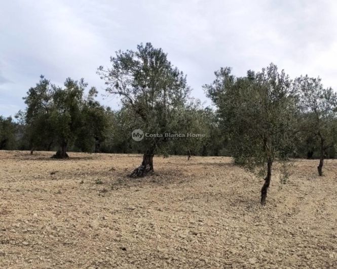 Image No.9-Property for sale