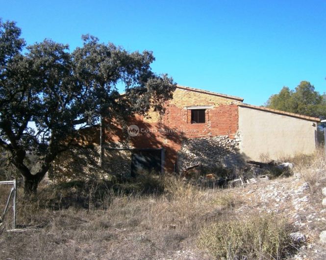Image No.1-Finca for sale
