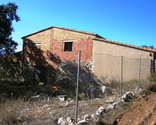 Image No.2-Finca for sale