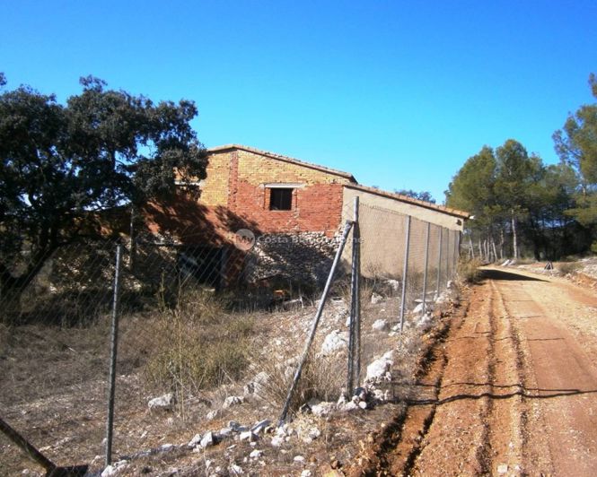 Image No.3-Finca for sale