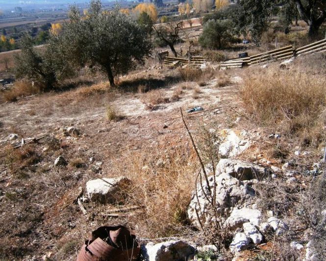 Image No.5-Finca for sale