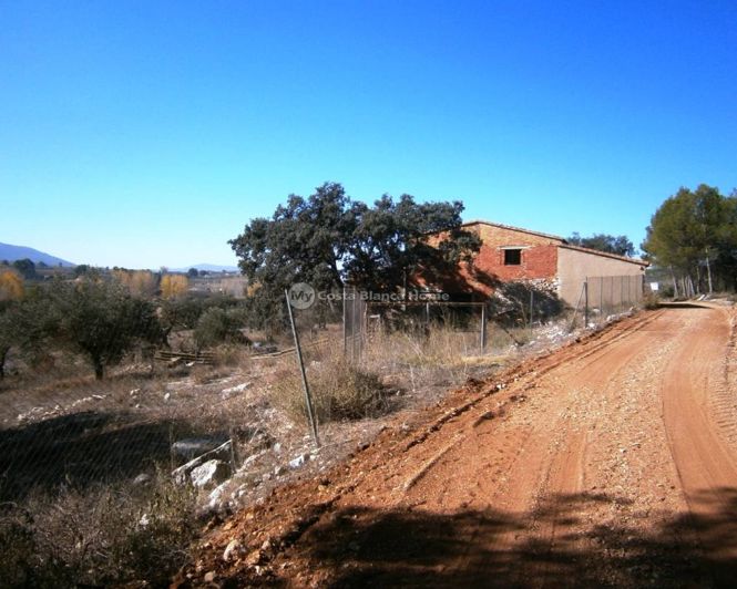 Image No.6-Finca for sale