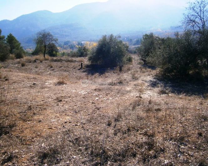 Image No.9-Finca for sale