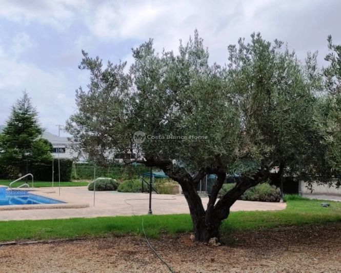 Image No.24-2 Bed Property for sale