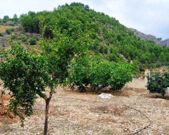 Image No.25-2 Bed Property for sale