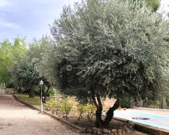 Image No.41-3 Bed Villa for sale