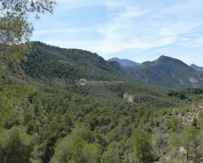 Image No.4-4 Bed Semi-Detached for sale