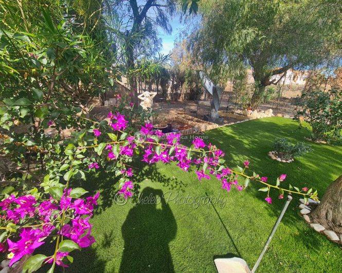 Image No.36-3 Bed Country House for sale