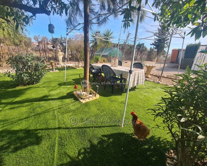 Image No.37-3 Bed Country House for sale