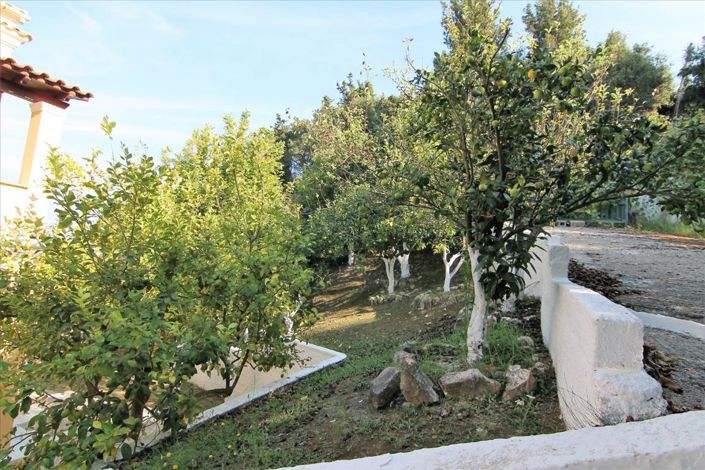 Image No.11-Hotel for sale