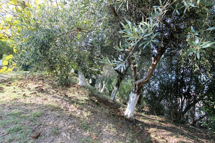 Image No.16-Hotel for sale