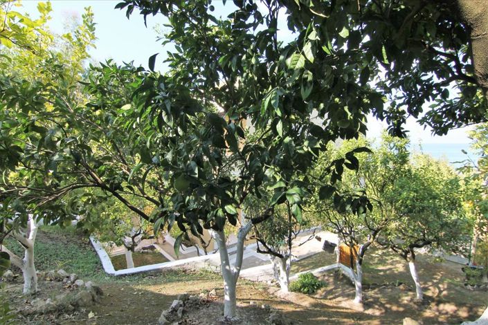 Image No.6-Hotel for sale