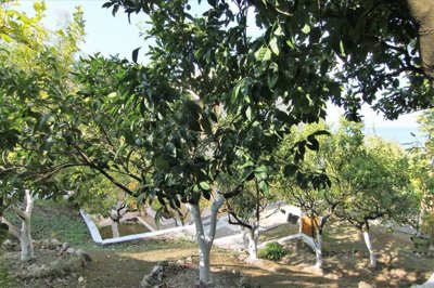 Photo 6 - Hotel 175 m² in Ionian islands