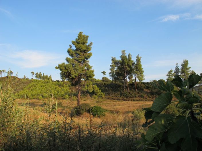 Image No.26-4 Bed Property for sale