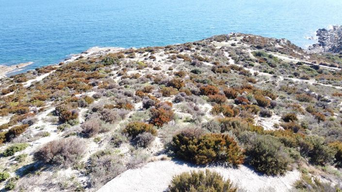 Image No.4-Land for sale