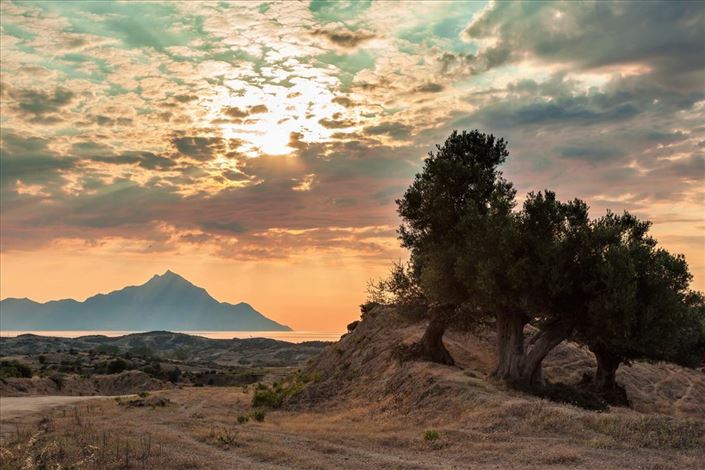 Image No.21-2 Bed Property for sale