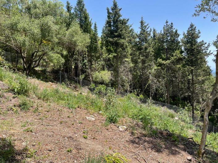 Image No.21-Property for sale