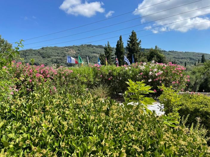 Image No.9-Hotel for sale