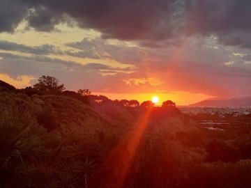 Photo 4 - Villa 312 m² in Crete