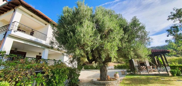 Image No.3-5 Bed Villa for sale