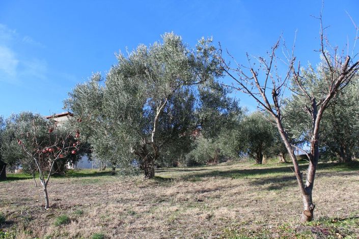 Image No.19-3 Bed Maisonette for sale