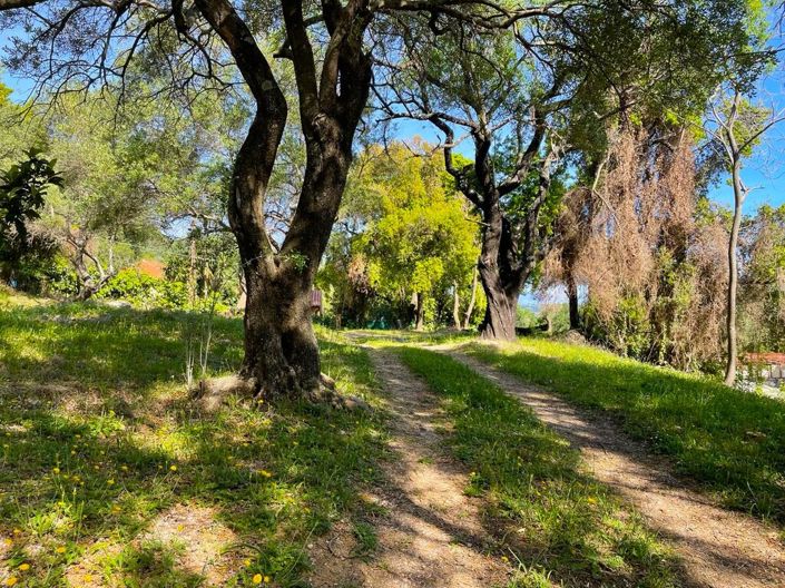 Image No.22-1 Bed Property for sale