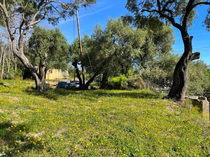 Image No.28-1 Bed Property for sale