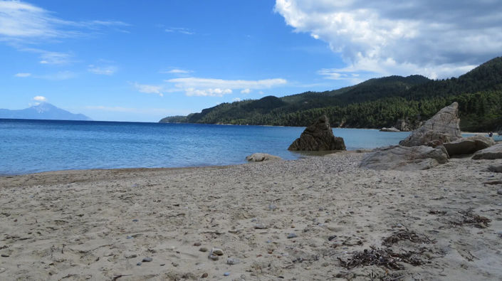 Image No.19-1 Bed Property for sale