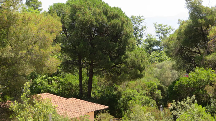 Image No.21-1 Bed Property for sale