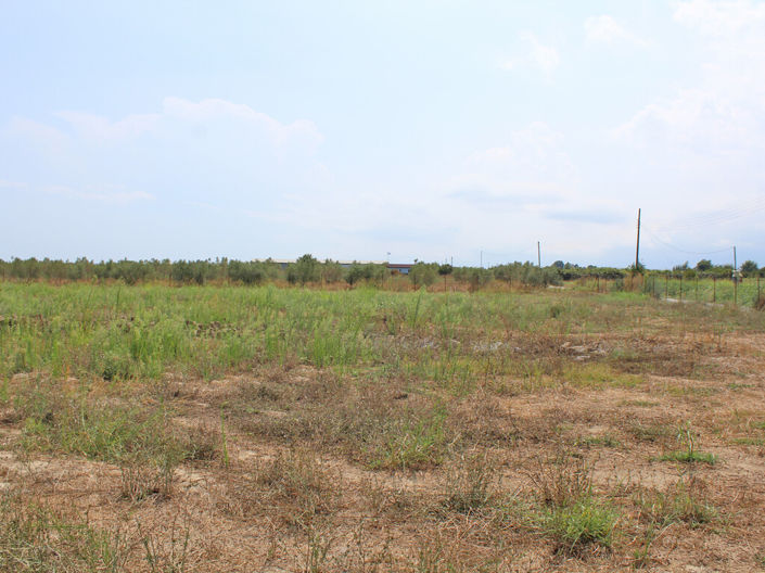 Image No.10-2 Bed Property for sale