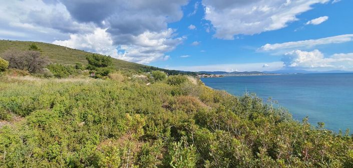 Image No.8-Land for sale