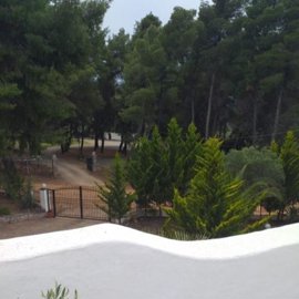 Photo 10 - Hotel 150 m² in Central Macedonia