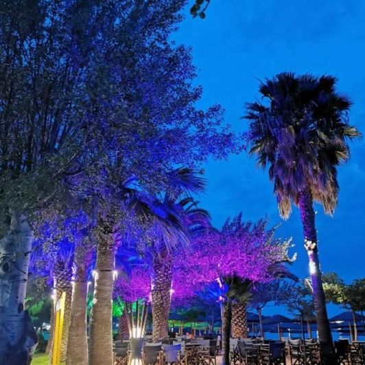 Image No.27-Commercial for sale