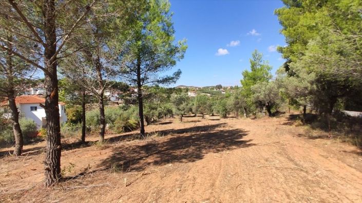 Image No.1-Land for sale