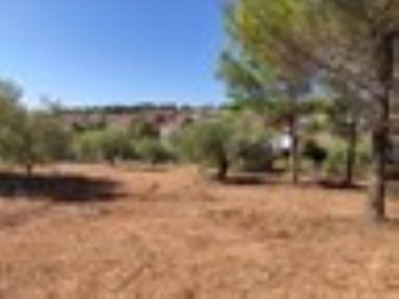 Photo 2 - Land 0 m² in Central Macedonia