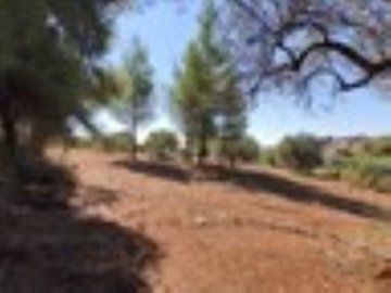 Photo 3 - Land 0 m² in Central Macedonia