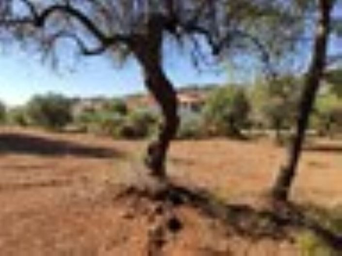 Image No.4-Land for sale