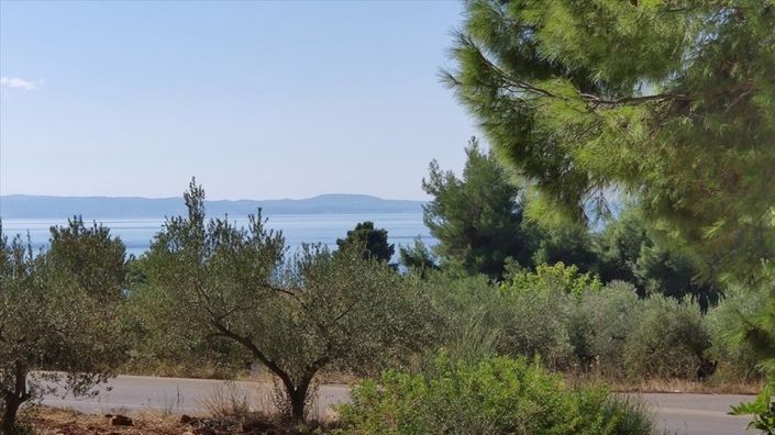 Image No.2-Land for sale