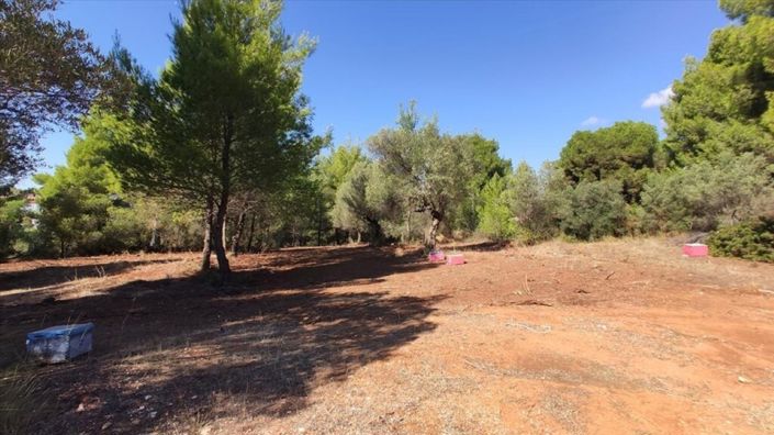 Image No.3-Land for sale