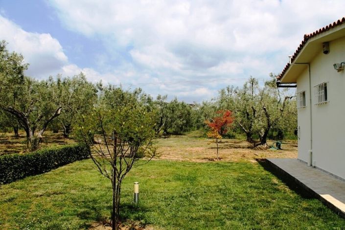 Image No.5-Land for sale