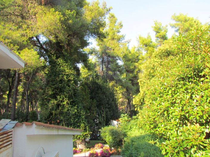 Image No.11-2 Bed Property for sale