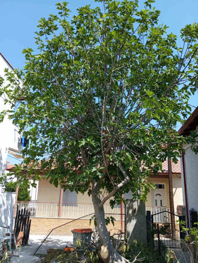 Image No.5-1 Bed Property for sale