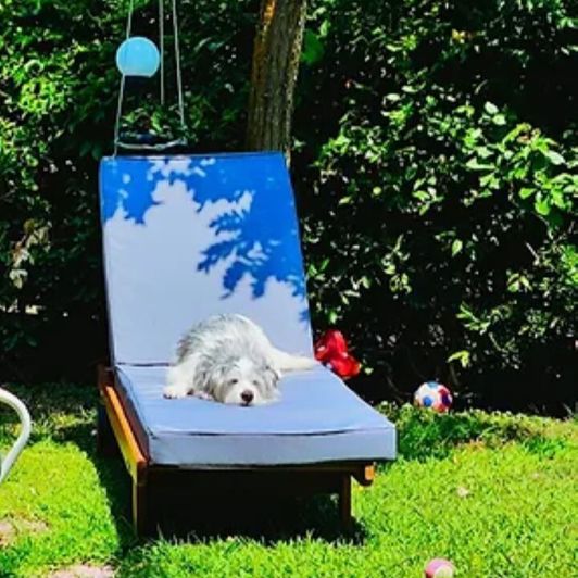 Image No.19-2 Bed Property for sale