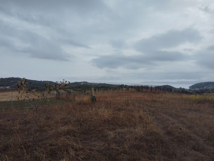 Image No.9-Land for sale