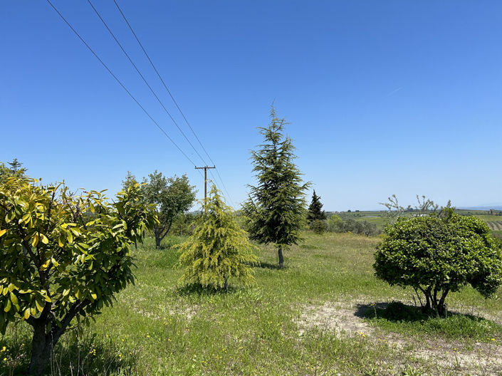 Image No.2-Land for sale