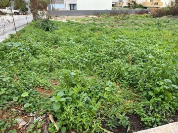 Photo 3 - Land 0 m² in Attica